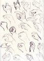 hand-studies2023