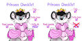 Princess checklist