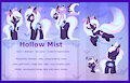 Hollow Mist reference sheet by Spookyle