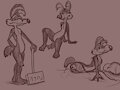 Wile E. Coyote doodle by Spazlovescoom