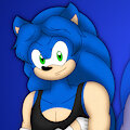 Sonic The Hedgehog: 20 Years Earlier by Silverfantastic17
