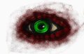 Spykes argonian eye submission by Izzeh