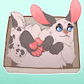 Bun in a box by Knufte