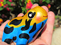 Poison Dart Frog (FOR SALE! - VID) by SilverWolf866