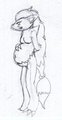 Random Pregnant Zoroark