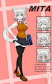 Character Sheet - Mita by Mut025