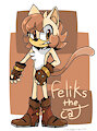 Feliks the cat