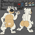 Dexter B. Bear Ref Sheet by RhythmCHusky94