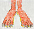 Jewel's Feet by LouisEugenioJR