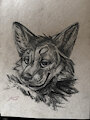 Coyote Portrait Sketch Large by zaverose