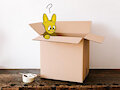 Goldy floating in a box :D by unknown809