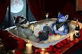 Pixel YCH | Raccoon wolf valentine's day bath gif by AnastasRadonski