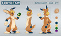 SouthPaw Ref Sheet! by BigBunnyBoy