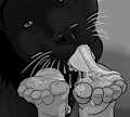 Bagheera Licking Mowgli's Feet Yum BW Commission by WinserFerret