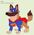 Dog Daily Character - Flash the Wonder Dog