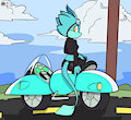 Skitter's Bike by Fours