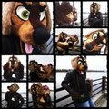 Lorenz Fursuit