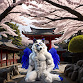 桜神社の狼 - (Wolf of the Cherry Blossom Shrine) by NovaOtter