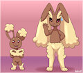 Buneary and Lopunny trade looks
