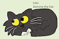 Cat Daily Character - Domino the Cat