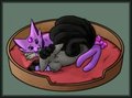 [G] Curling up in a Kitty bed. <3