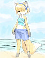 Fox girl at the beach