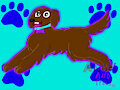 G: Brianna The Newfoundland Dog