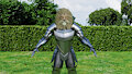 Lion knight in armor