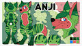 [COM] Anji Reference