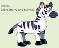 Zebra Daily Character - Zebra (Harry and Bunnie)