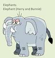 Elephant Daily Character - Elephant (Harry and Bunnie)