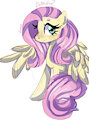 fluttershy