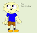 Dog Daily OC - Owen the Dog
