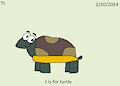 My ABC Animal Month - Turtle