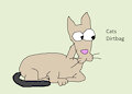 Cat Daily Character - Dirtbag
