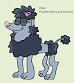 Dog Daily Character - Poodle (Harry and Bunnie)
