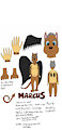 Marcus reference sheet