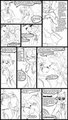 What happens afterschool page Five