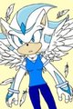 My Sonic Fancharacter