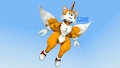Tails Go Fly