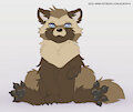 Common raccoon dog by Elronya