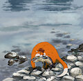 Otter catches fish.