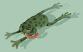 frogs! by arttemisia