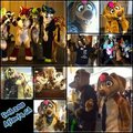 FWA 2013!