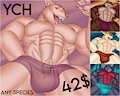 Bara YCH #2 [open] | Alt. versions available| Only 42$ by Amaruarts