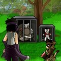 [Picture-Series] Cat Red Riding Hood And The Wolf 06