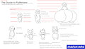 some (brief) guide of my species