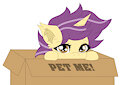 pony in a box by SadPanda12