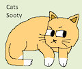 Cat Daily Character - Sooty
