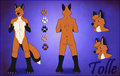 Tolle Reference Sheet - Commission